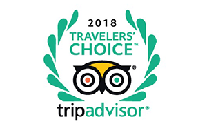 Chat Tours - Tripadvisor
